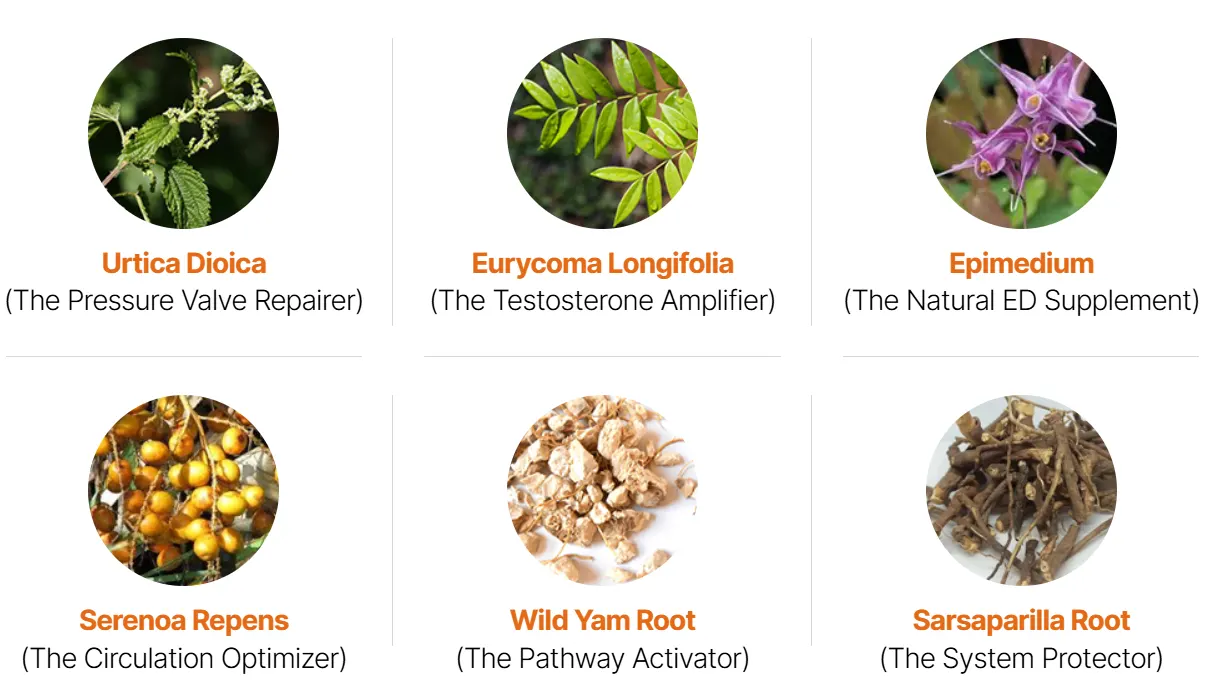 AlphaFuel Pro Natural Ingredients Breakdown